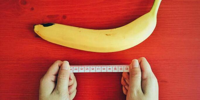измерение члена перед увеличением на примере банана
